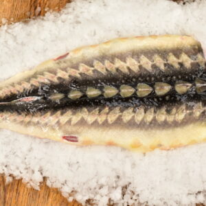 JESIOTR FILET STEK 1 KG