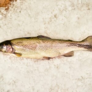 PSTRĄG PATROSZONY 1 kg