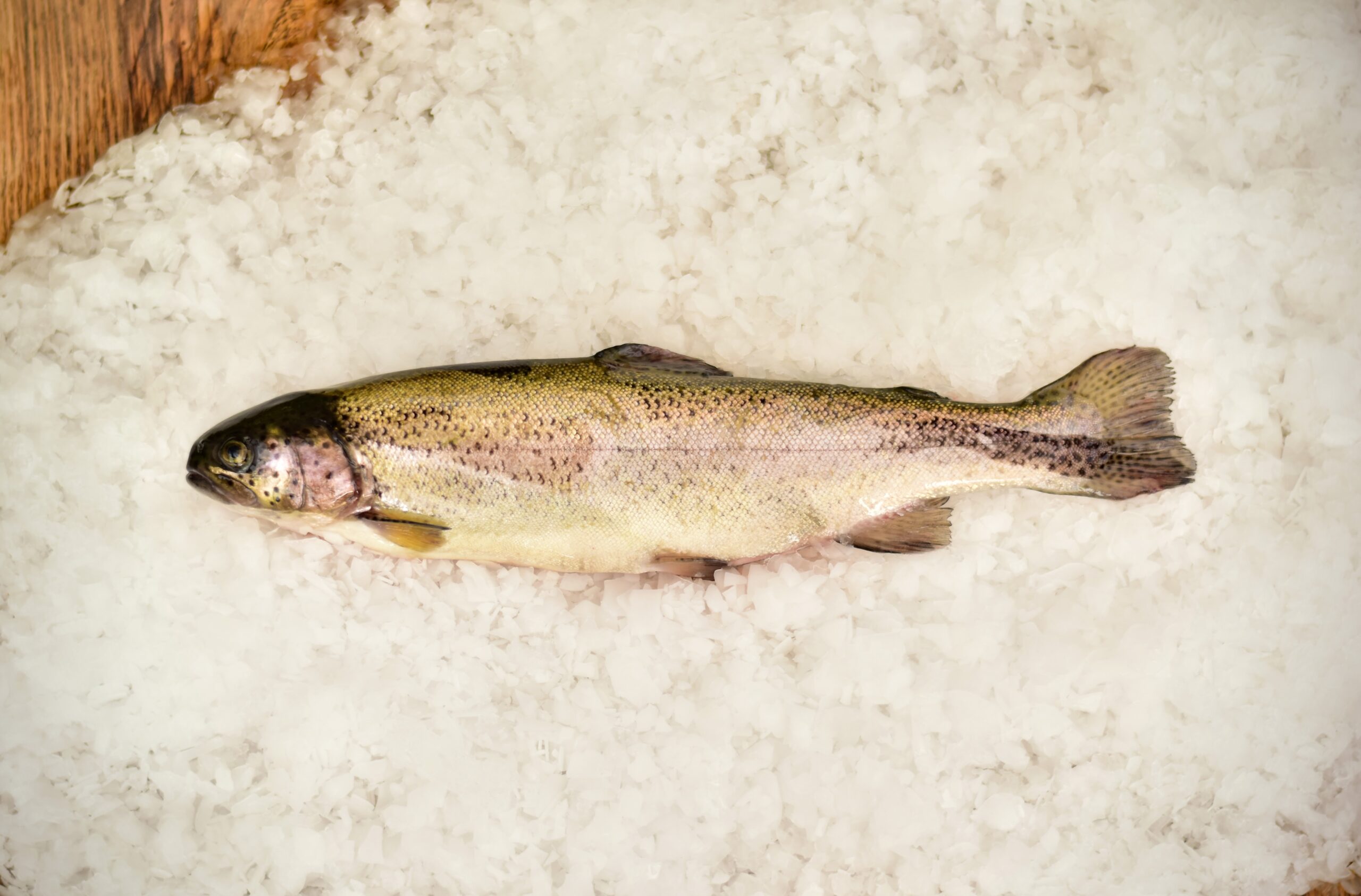 PSTRĄG PATROSZONY 1 kg